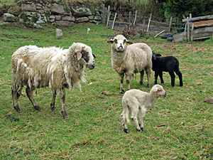 Ostern 2012