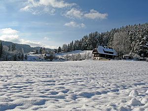 Winter in Tennenbronn