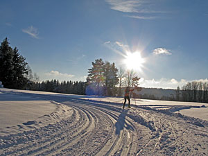 Winter in Tennenbronn