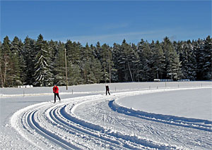 Winter in Tennenbronn