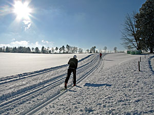 Winter in Tennenbronn