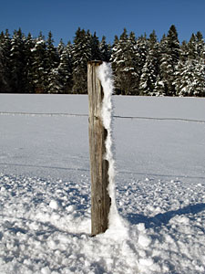 Winter in Tennenbronn