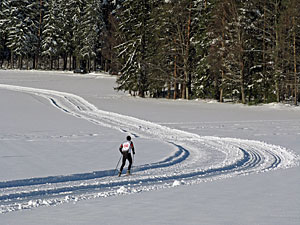 Winter in Tennenbronn