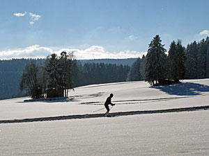 Winter in Tennenbronn