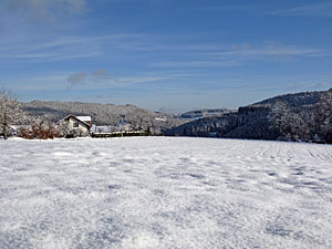 Winter in Tennenbronn