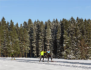 Winter in Tennenbronn