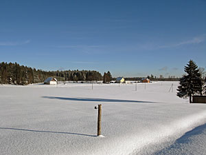 Winter in Tennenbronn