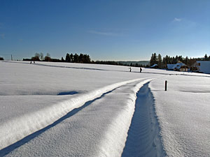 Winter in Tennenbronn