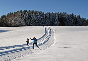 Winter in Tennenbronn