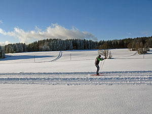 Winter in Tennenbronn