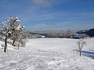 Winter in Tennenbronn