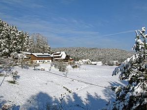 Winter in Tennenbronn