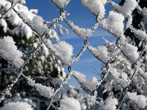 Winter in Tennenbronn