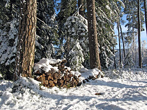 Winter in Tennenbronn