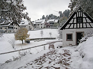 Winter im Herbst