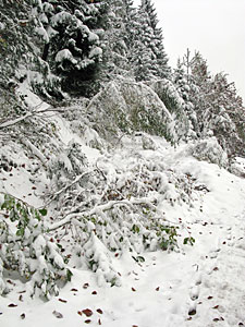 Winter im Herbst