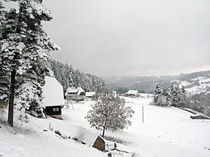 Winter im Herbst
