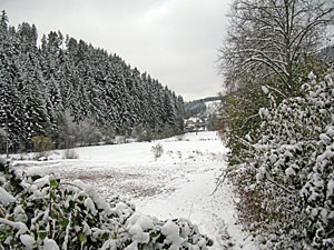 Winter im Herbst