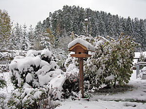 Winter im Herbst