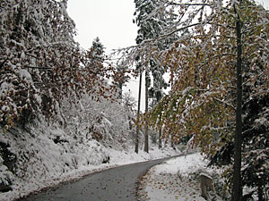Winter im Herbst
