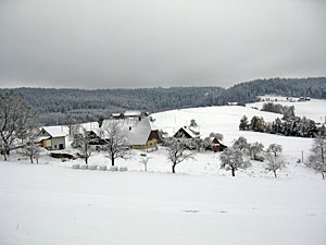 Winter im Herbst