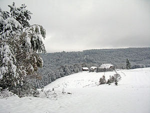 Winter im Herbst