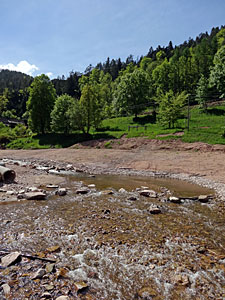 Neues vom Berneckstrand