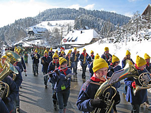 Fasnetsumzug in Tennenbronn  2013