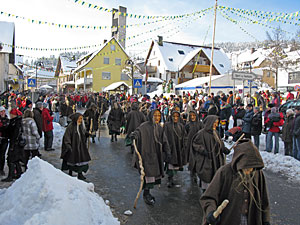 Fasnetsumzug in Tennenbronn  2013