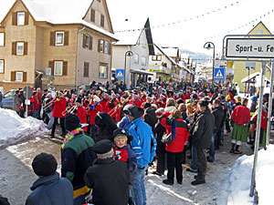 Fasnetsumzug in Tennenbronn  2013