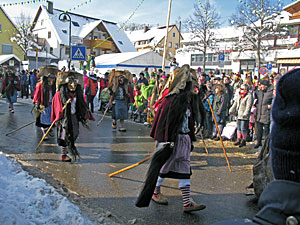 Fasnetsumzug in Tennenbronn  2013