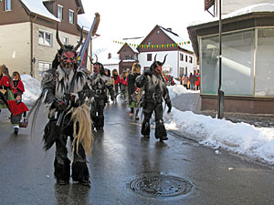 Fasnetsumzug in Tennenbronn  2013