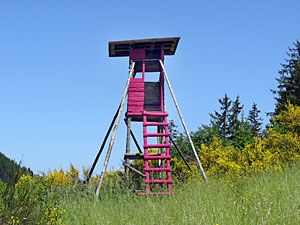 Hochsitz in Pink Hochsitz in Pink