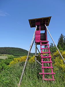 Hochsitz in Pink