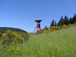 Hochsitz in Pink