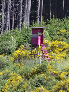 Hochsitz in Pink