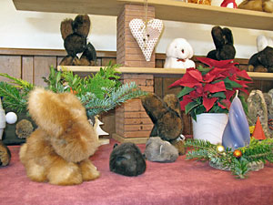 Kaninchenausstellung 2012
