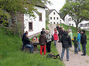 Mühlentag in Tennenbronn