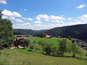 Sommer in Tennenbronn