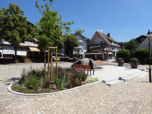 Sommer in Tennenbronn