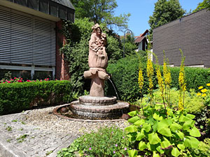 Sommer in Tennenbronn