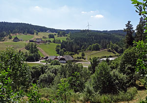 Sommer in Tennenbronn