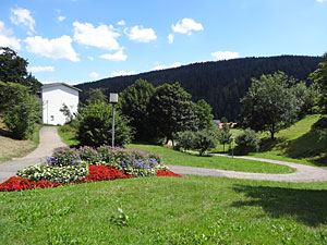 Sommer in Tennenbronn