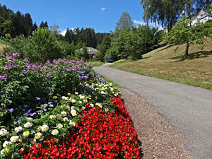 Sommer in Tennenbronn