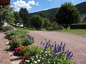 Sommer in Tennenbronn