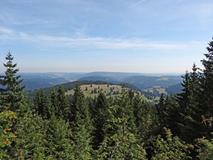 Titisee - Feldberg