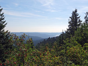 Titisee - Feldberg