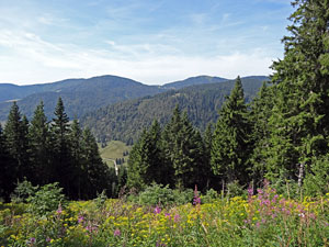 Titisee - Feldberg