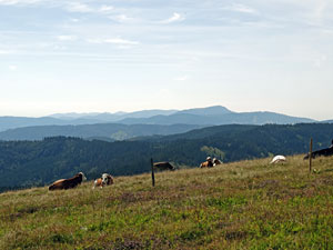 Titisee - Feldberg