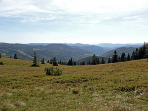 Titisee - Feldberg